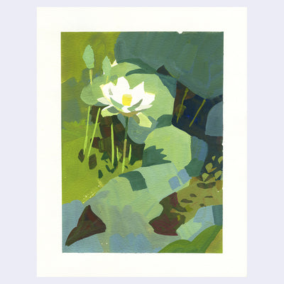 Plein air painting of a white lotus flower near many green lily pads on green water.