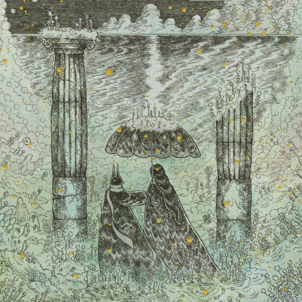 Illustration of a cloaked person and a cloaked humanoid cat facing away from the viewer, standing between 2 pillars. Greenery surrounds them, making a small viewing hole for water and a night sky.