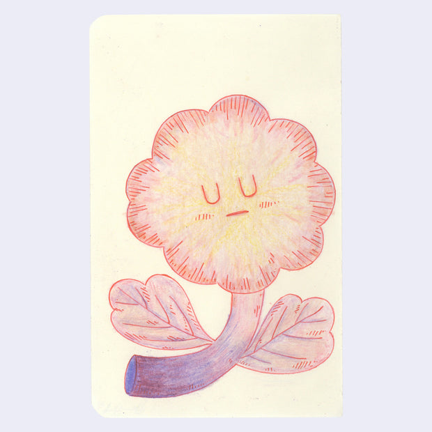 Red and purple colored pencil illustration of a flower with a closed eye calm expression and a thick cut stem with 2 leaves.