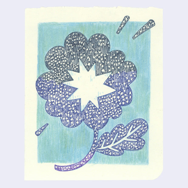 Colored pencil illustration of a star patterned flower, dark blue in coloring with a white star shaped center.