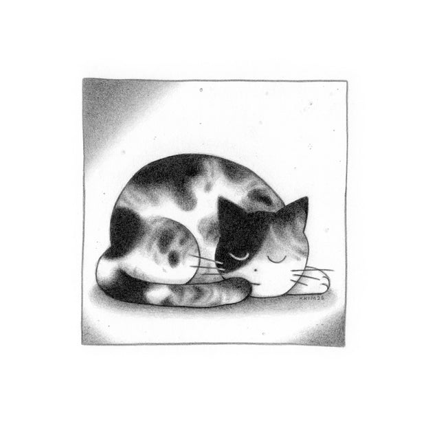 Softly rendered graphite illustration of a calico cat, in a simplistic cartoon style. It lays on the ground, wrapped into itself while resting. 