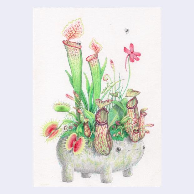 Colored pencil illustration of a stone character statue, standing on 4 legs and with a simple expression and rounded body. Out of it grows several carnivorous plants. 2 flies are nearby.