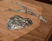 Collage on exposed wood of a twig, a rock and a bug, all made out of mother of pearl material with a pearlescent shine and graphite shading. Behind them is a wooden hexagon.