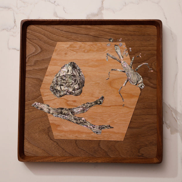 Collage on exposed wood of a twig, a rock and a bug, all made out of mother of pearl material with a pearlescent shine and graphite shading. Behind them is a wooden hexagon.