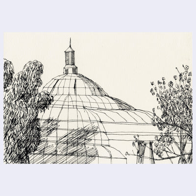 Stylistically messy ink drawing of a domed roof on a large building, framed by 2 trees.