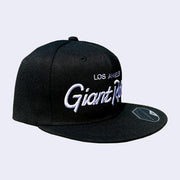 Flat billed cap, black with white stylized letters that say "Los Angeles Giant Robot" across the front.