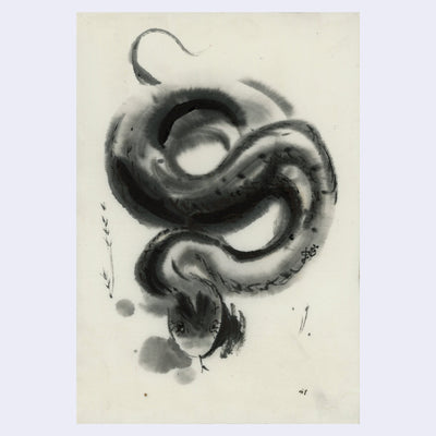 Brush ink illustration on cream colored paper of a grey snake seen from overhead, mid slither with its body close to itself, forming an "S" shape. It sticks its tongue out.