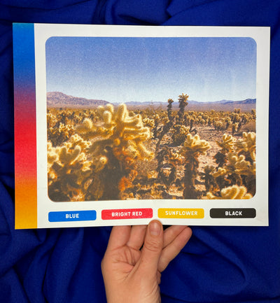 Risograph print of a photo of several cacti in Joshua Tree, printed in CMYK with the gradient of colors in the left side.