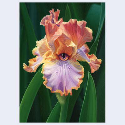 Highly rendered painting of an iris flower, orange, yellow and purple with a single realistic eye in the center. Several water droplets rest on the front petal. Background is green iris leaves.