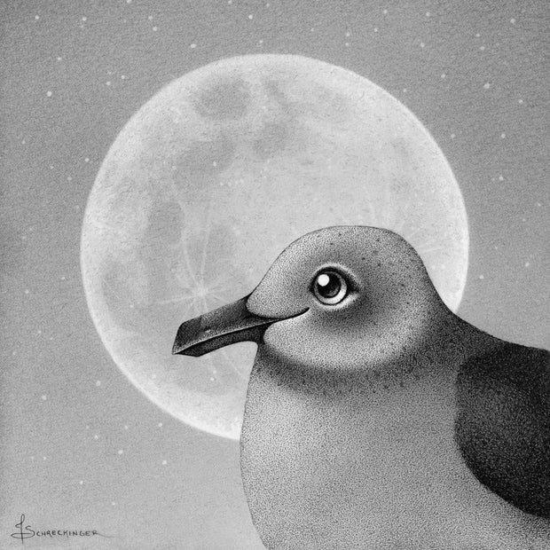 Softly rendered graphite drawing of a seagull with a large, shiny eye and a slight smile to its beak. Behind its head is a large full moon,