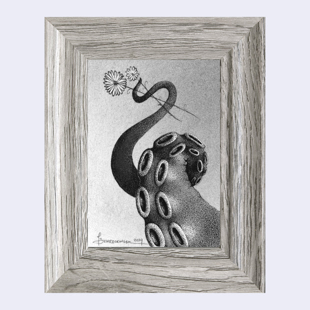 Softly rendered stippled graphite drawing of a octopus tentacle, wrapped around itself and holding 2 flowers.