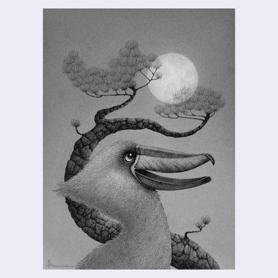 Softly rendered graphite illustration of a pelican or other large billed sea bird. It looks up at the large full moon overhead, with a bonsai tree behind it.