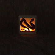 Small wooden shadowbox being illuminated by a warm light in the back. A red snake fits inside of the box, where the light shines behind it. Shown at night.