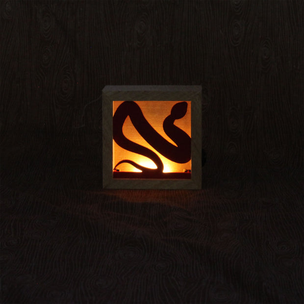 Small wooden shadowbox being illuminated by a warm light in the back. A red snake fits inside of the box, where the light shines behind it. Shown at night.