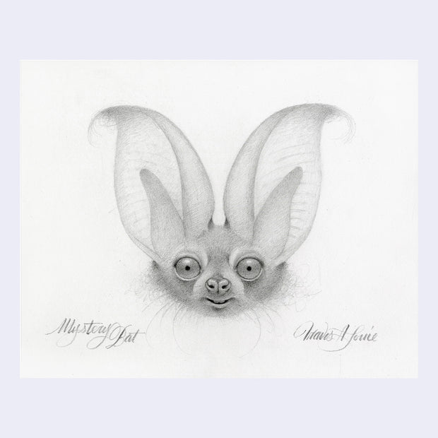 Softly rendered graphite illustration on off white paper of a bat's face, depicted in a cartoon but realistic style.