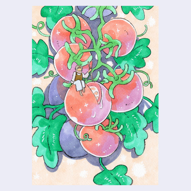 Illustration of a vine of tomatoes, one cut to miss a single slice. A small person sits on the cut tomato, holding a stick.