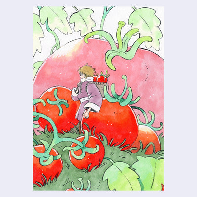 Illustration of large tomatoes in a grassy field, with a giant one in the background. A person walks with a woven basket on their back, holding smaller tomatoes.