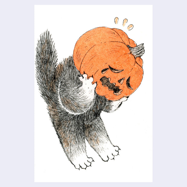 Black and orange ink illustration of a cat with a pumpkin on its head, as though it is stuck.