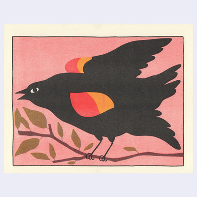 Risograph print of a black bird with a fat body, perched on a thin tree branch with sparse leaves. Its wings have red and orange striping and its mouth is slightly ajar.