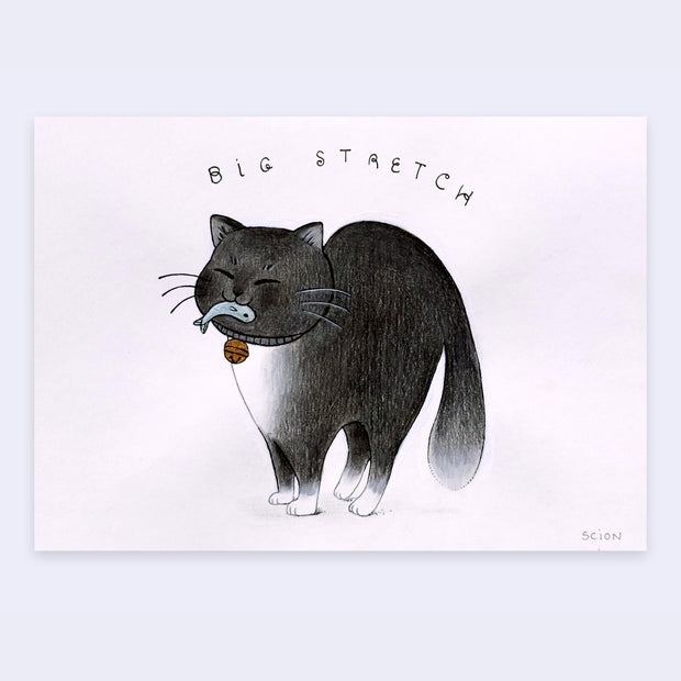 Graphite illustration of a black and white cat standing with its back arched and a smiling expression. It holds a tiny blue fish in its mouth and text over the cat reads "big stretch".