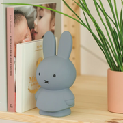 Miffy shaped coin bank, completely colored a silver shade of blue with gray eyes and mouth. She stands wearing a dress with her arms at her sides.