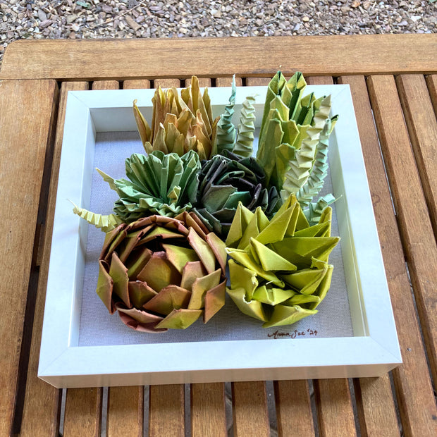 Open shadowbox featuring a 3D paper sculpture of a series of succulents.