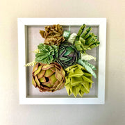 Open shadowbox featuring a 3D paper sculpture of a series of succulents.