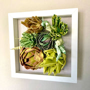 Open shadowbox featuring a 3D paper sculpture of a series of succulents.