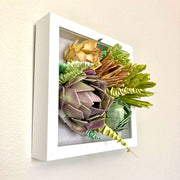 Open shadowbox featuring a 3D paper sculpture of a series of succulents.