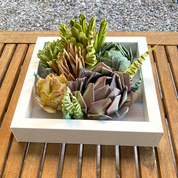 Open shadowbox featuring a 3D paper sculpture of a series of succulents.