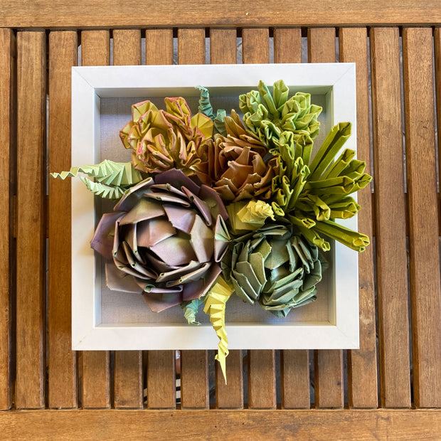 Open shadowbox featuring a 3D paper sculpture of a series of succulents.