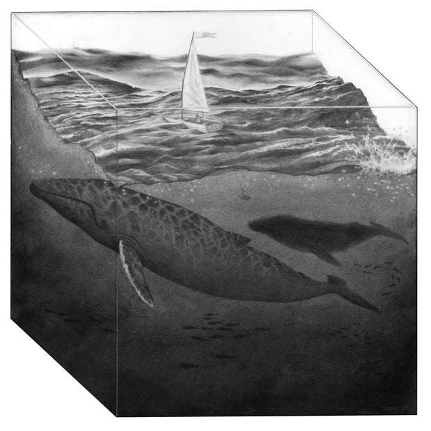 Greyscale illustration on a wooden panel cut to appear like a clear cube. Inside the cube is a body of water with rough waves. A small sailboat floats atop and under the surface is a very large whale and a smaller one behind it.