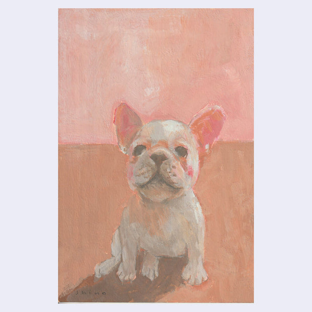 Painting of a small, cute white French Bulldog sitting on the ground. Background is a muted pink and orange.