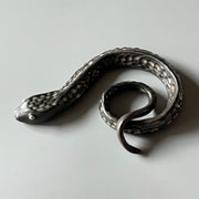 Ceramic sculpture of a dark silver snake with silver colored eyes and imprinted scales along its body. Its tail is curled into itself.