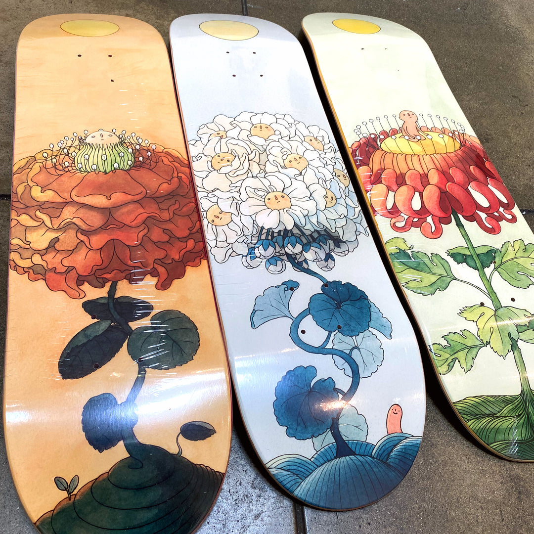 Claustro Skate Deck Skateboard hot Fine Art