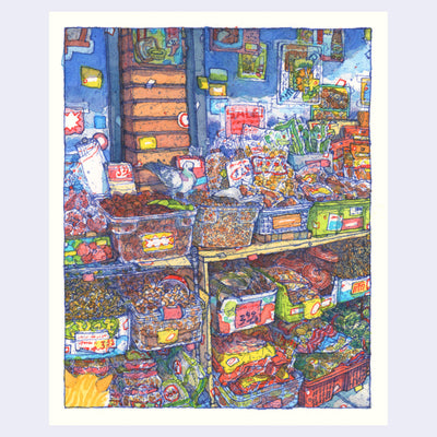 Highly detailed blue ink and watercolor illustration of a shop stall at an open air food market. The stall has rows of tubs holding a variety of foods - different kinds of nuts, bagged snacks and foods, etc. A pigeon stands atop on of the tubs and a small yellow cat looks up at it from the lower left corner.