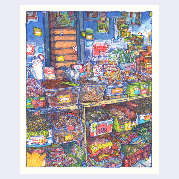 Highly detailed blue ink and watercolor illustration of a shop stall at an open air food market. The stall has rows of tubs holding a variety of foods - different kinds of nuts, bagged snacks and foods, etc. A pigeon stands atop on of the tubs and a small yellow cat looks up at it from the lower left corner.