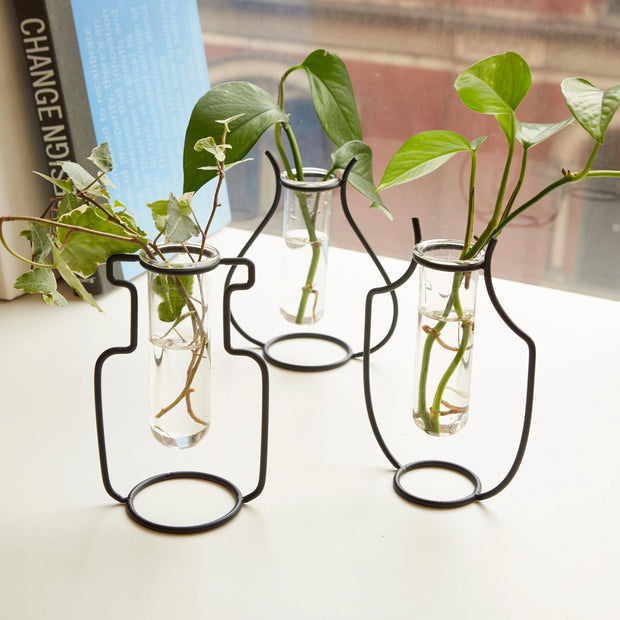 3 plants being propagated in glass tubes with iron silhouetted vases.