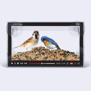 bird feeder, made of a clear screen that has video watching UI on it, mimicking a Youtube video. Birds eat the feed on a platform behind the screen.