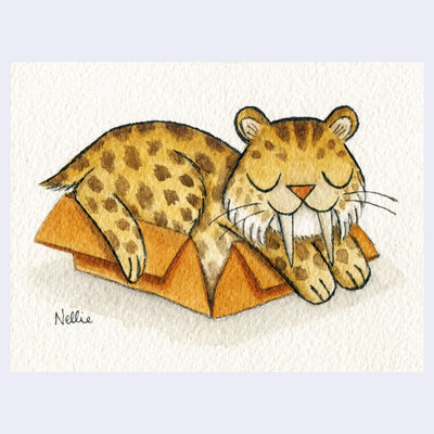 Watercolor and ink illustration of a sabertooth tiger sitting in a cardboard box with closed eyes and a smile.