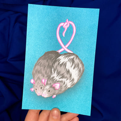 Risograph print of 2 fluffy rats, positioned closely to one another and touching their sides and faces. Their tails are wrapped into a heart shape. Background is teal blue.