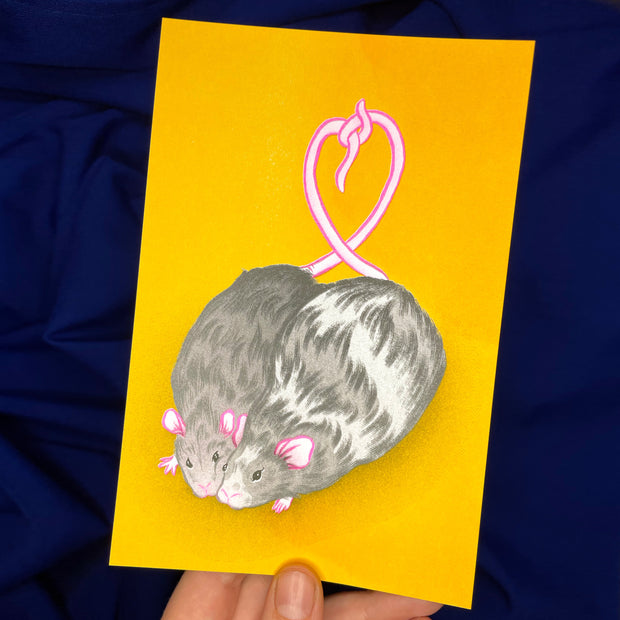 Risograph print of 2 fluffy rats, positioned closely to one another and touching their sides and faces. Their tails are wrapped into a heart shape. Background is yellow.