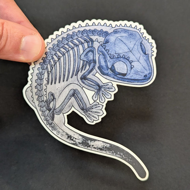 A die-cut sticker of a gecko that looks like it's being run through an X-ray machine.