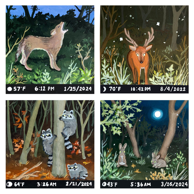 Four paintings pieced together to make a 2 x 2 grid, each painting is of an animal captured on a night camera trap, with the time and date documented below each scene. Animals include: coyote, deer, raccoons and rabbits.