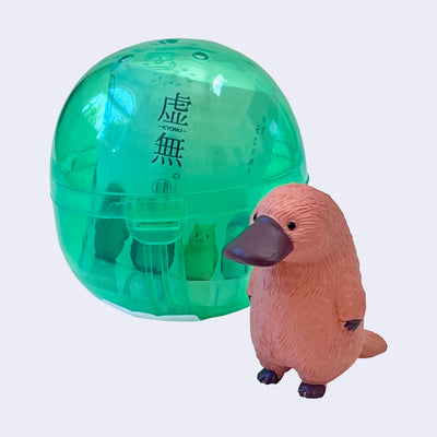 Small plastic figure of a brown platypus standing with its arms to its side and looking off into the distance. It stands next to its green empty capsule.