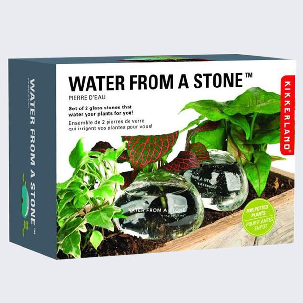 Product packaging for "Water from a Stone" which included 2 glass vessels shaped like rounded stones that hold plants in them and self water.