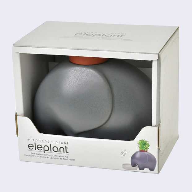 A smooth, gray ceramic modern looking elephant with a pot on its head, encased in a white cardboard box that reads "elephant + plant Eleplant" on it with product description.